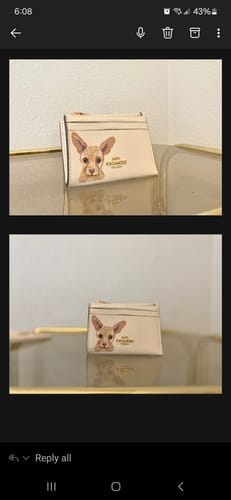 Customer photo review of Coach Mini Skinny Card Wallet with Custom Pet Portrait