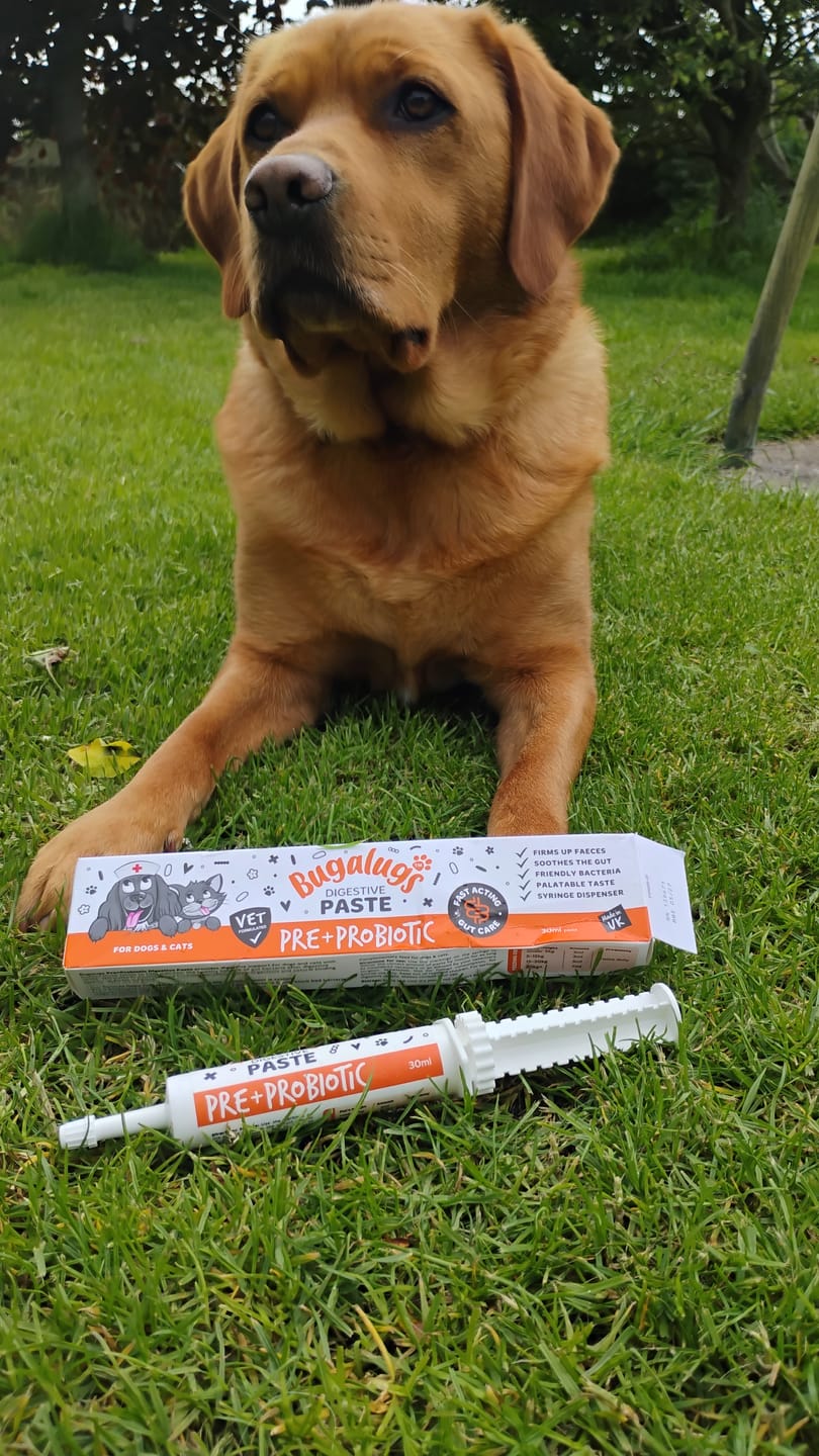 Customer photo review of Bugalugs Pre & Probiotic Digestive Paste for Dogs & Cats (30ml)