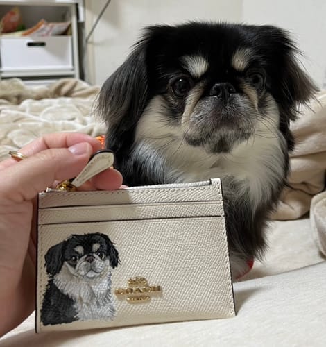 Customer photo review of Coach Mini Skinny Card Wallet with Custom Pet Portrait