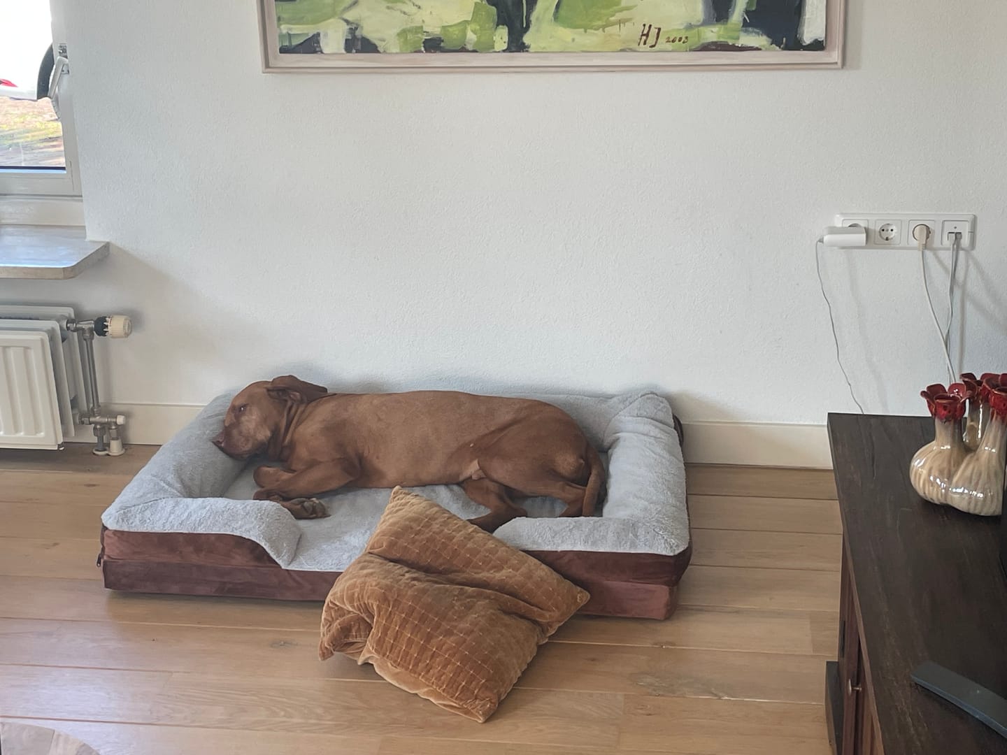 Customer photo review of Pet Perfect Orthopedische Hondenmand