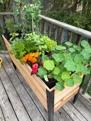 Customer photo review of 18" x 48" Raised Garden Bed - 30" TALL