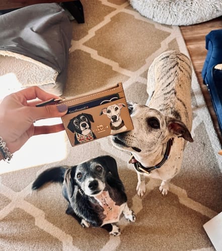 Customer photo review of Coach Mini Skinny Card Wallet with Custom Pet Portrait
