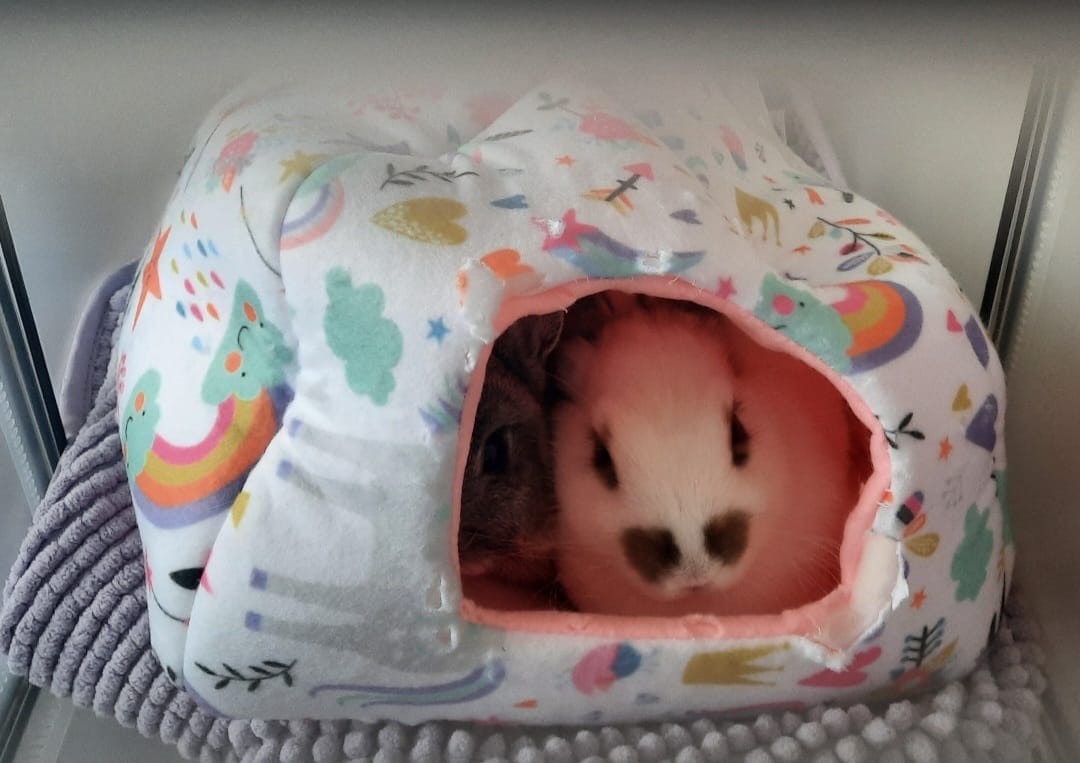 Customer photo review of Homely Fleece Hidey | Unicorn