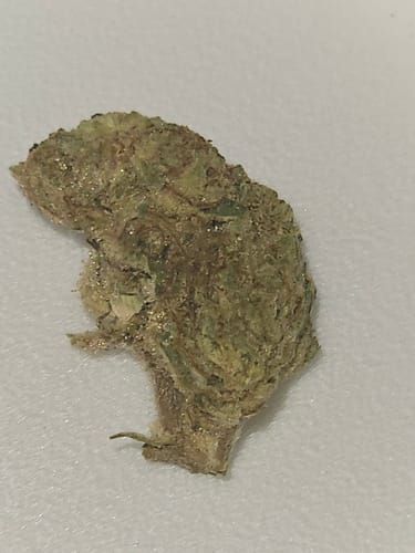 Customer photo review of Banana OG