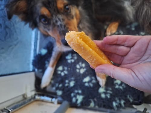 Customer photo review of Himalyan yak chew Bulk buy