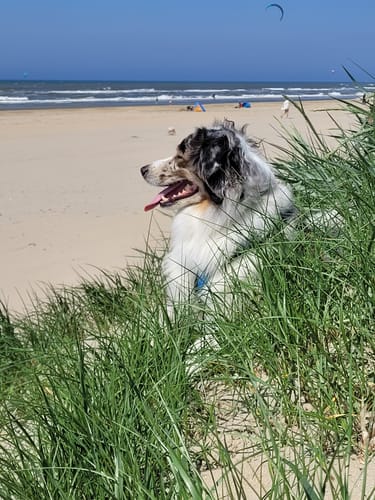 Customer photo review of Uro Hero