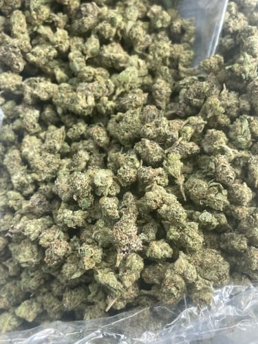 Customer photo review of Icy Pop  - Bulk Littles - Hybrid