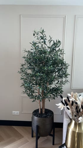 Customer photo review of Kunst Olijfboom 165cm Deluxe