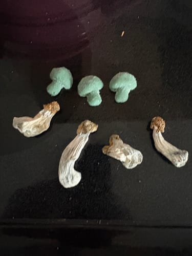 Customer photo review of Non Detect Mushrooms