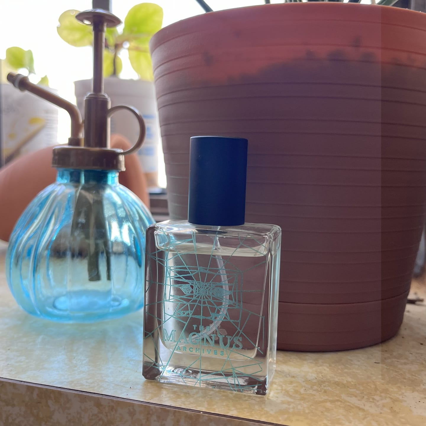 Customer photo review of Jon and Martin (US)