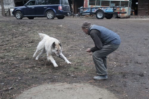 Customer photo review of Hip & Joint