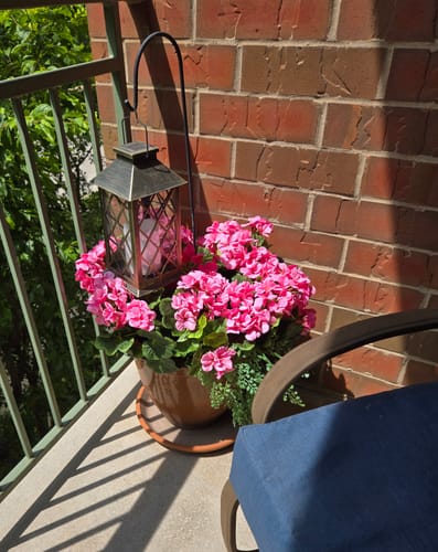 Customer photo review of Bulk 16.5 inches Tall Geranium Bush Faux Flowers UV Resistant for Outdoors and Indoors Wholesale