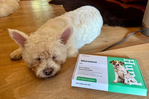 Customer photo review of Wurmtest Pro Hund