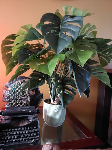 Customer photo review of Monstera Kunstplant 65cm