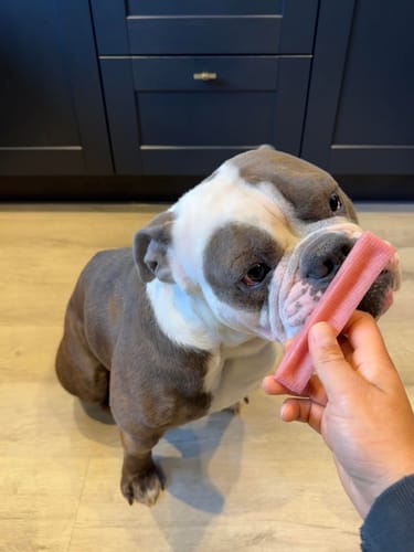 Customer photo review of Himalyan yak chew Bulk buy