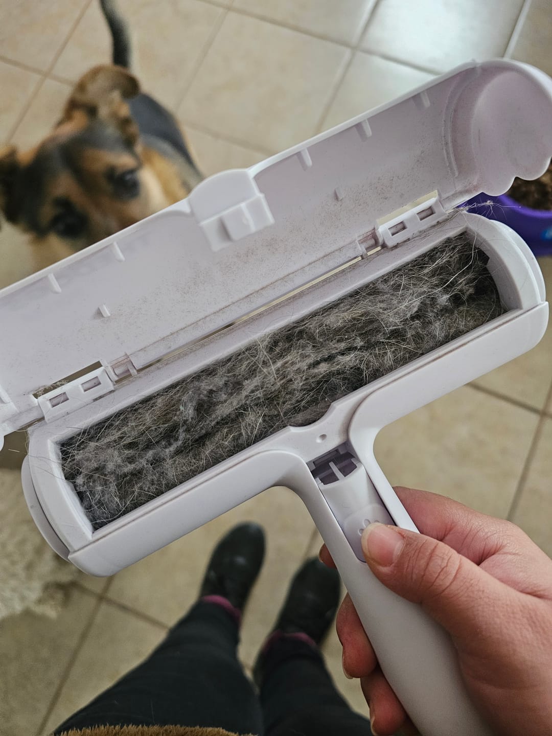 Customer photo review of THE DOGS Roller: Elimina pelos y pelusas