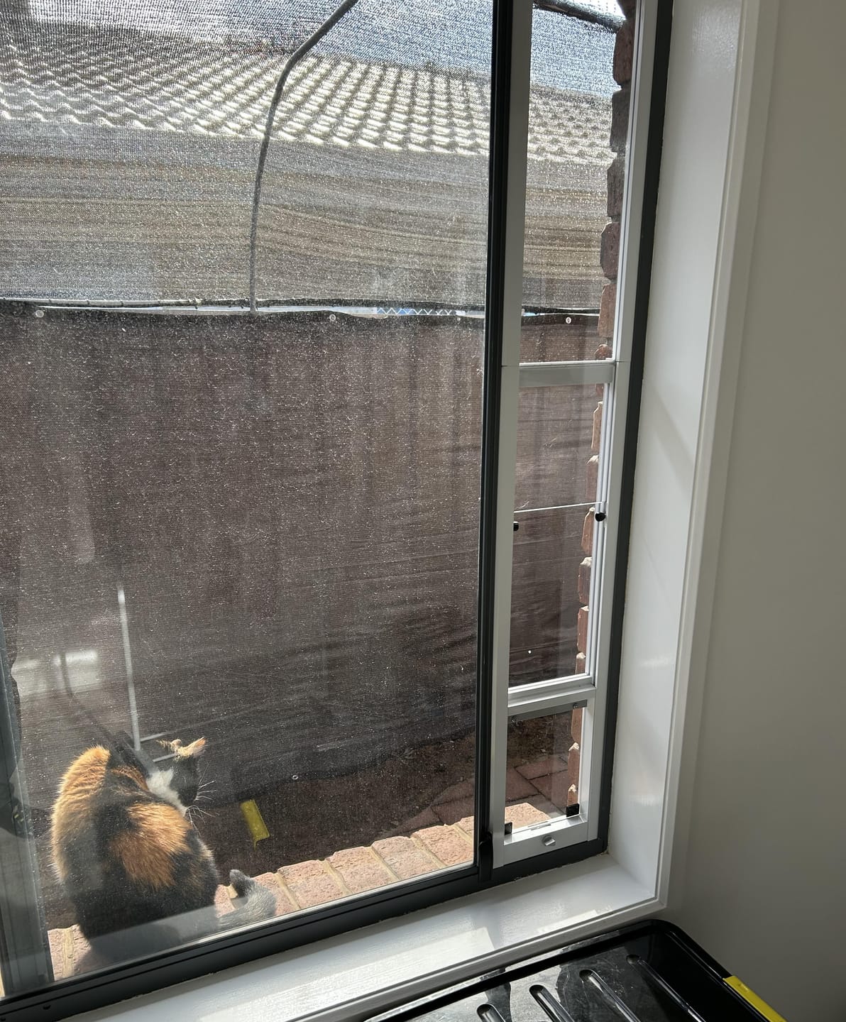 Customer photo review of Cat Door, Cat Window Insert