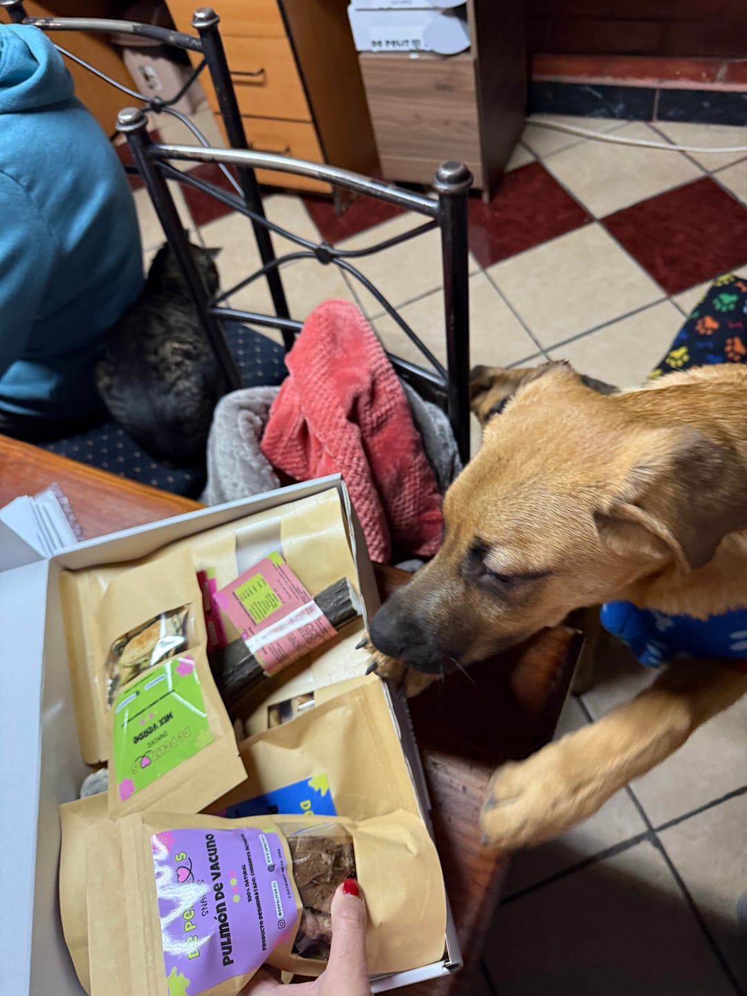 Customer photo review of Patas de pollo  - Pack 60 unidades