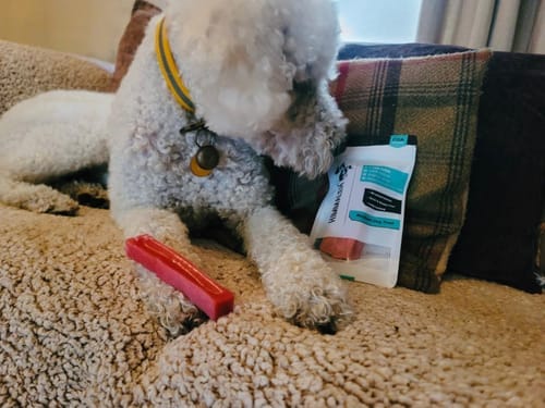 Customer photo review of Himalyan yak chew Bulk buy