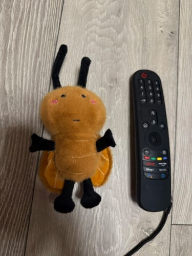 Customer photo review of Beanie and Pickle Cockroach Cutie Plushie