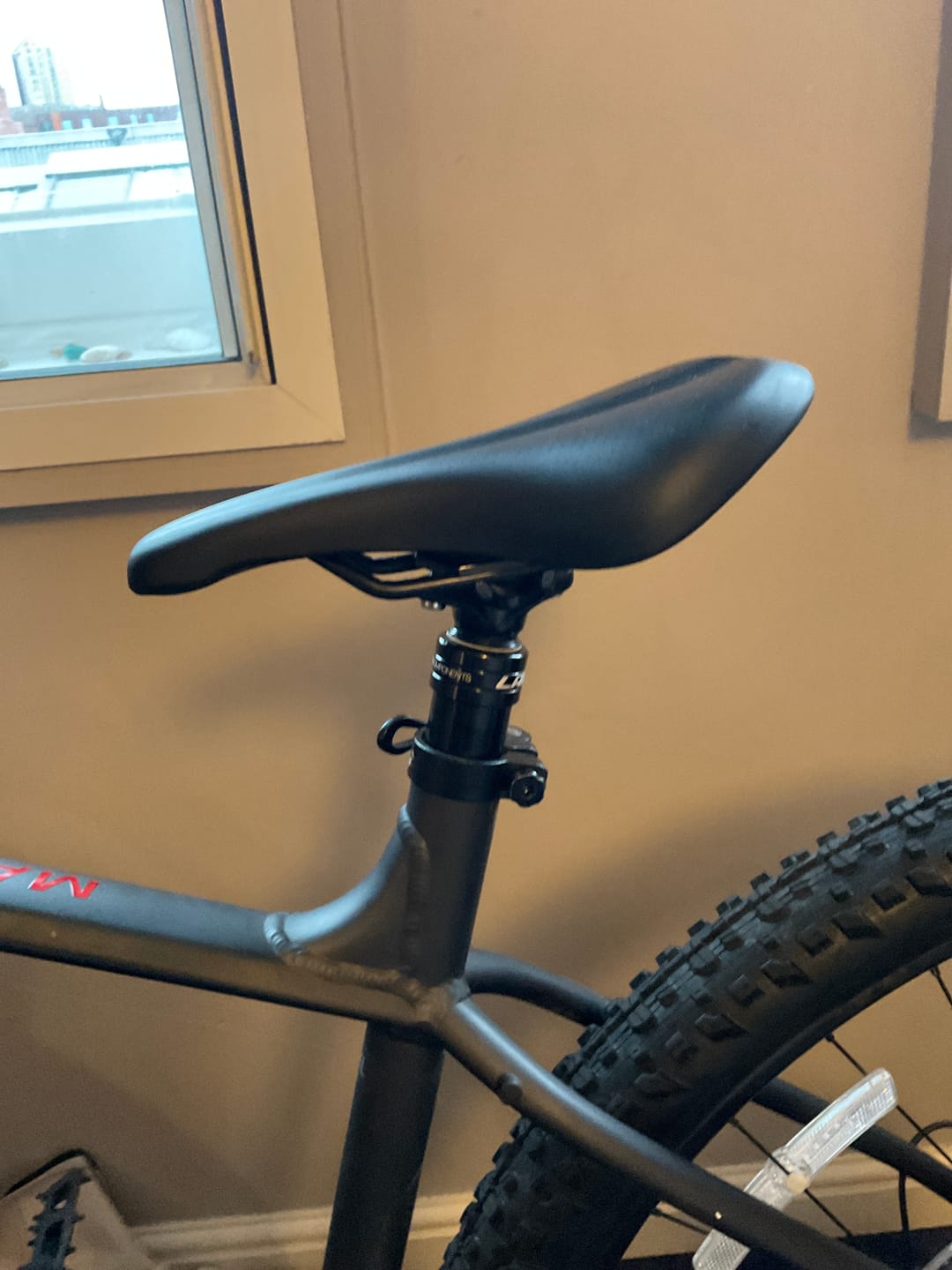 Customer photo review of Lapierre x TranzX JD-YSP18 31.6mm Internal Route Dropper Post - Black