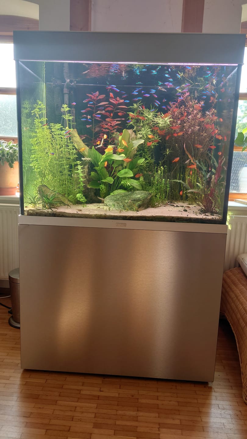 Customer photo review of Chihiros WRGB II Pro LED Light