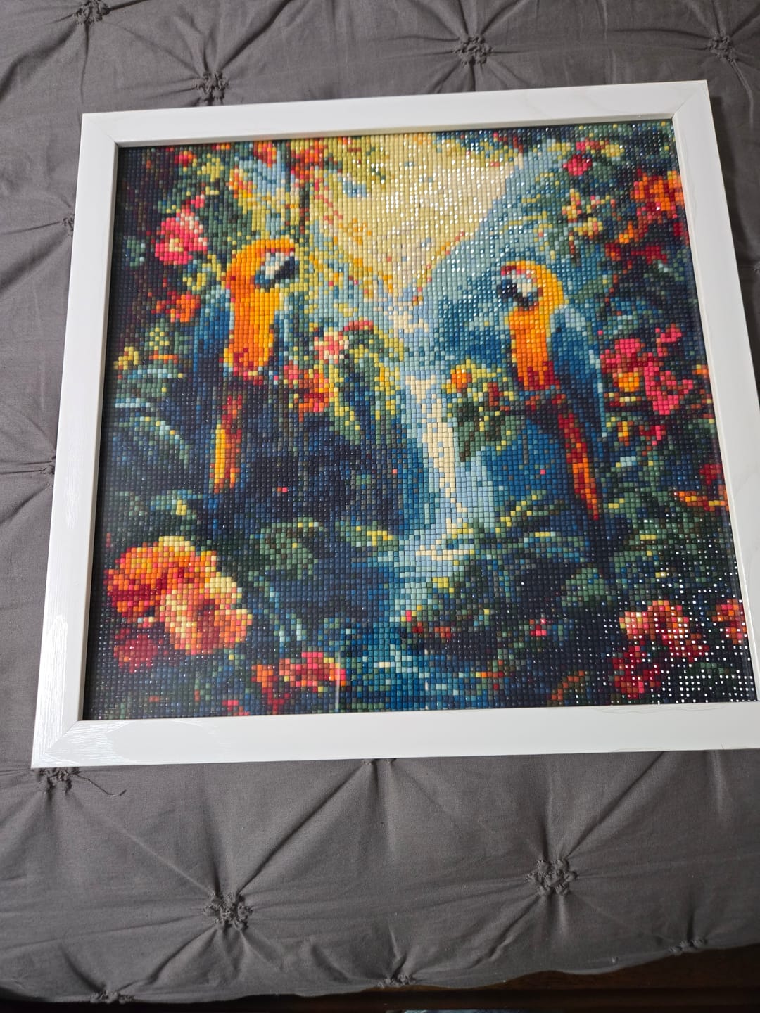 Customer photo review of New! Macaws in the Rainforest - Exclusive Premium Diamond Painting Kit