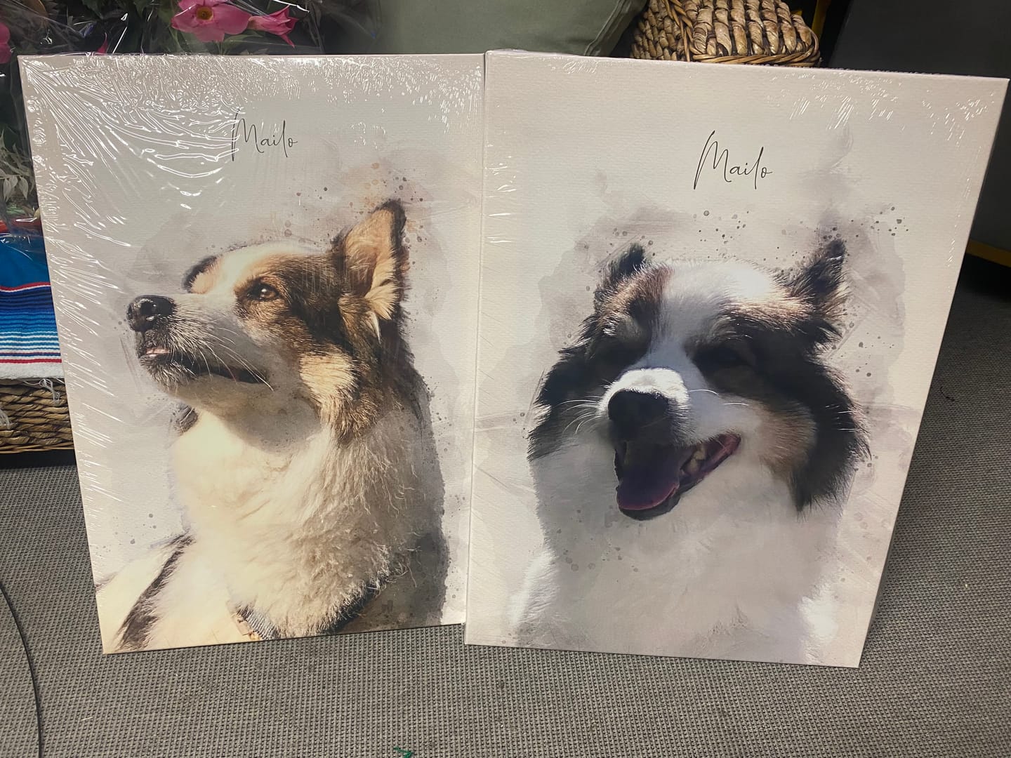 Customer photo review of Hundeportrait nach Foto