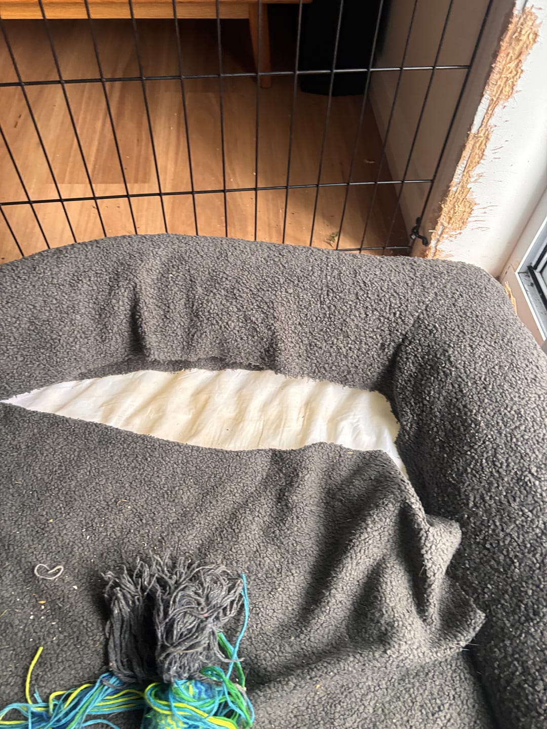 Customer photo review of PaWz Pet Boucle Bed for Dog & Cat