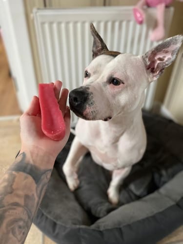 Customer photo review of Himalyan yak chew Bulk buy