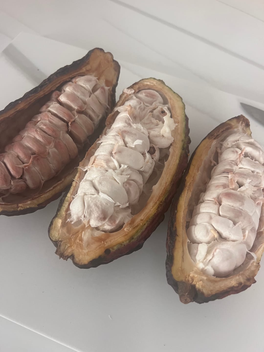 Customer photo review of Cacao (Chocolate)