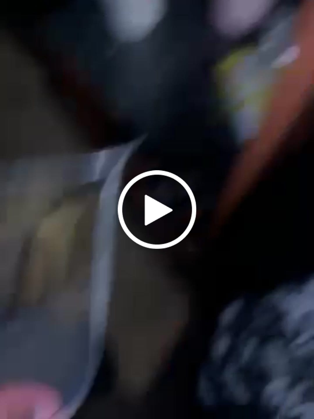 Customer video review of Bulk Discount Indoor Flower