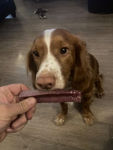 Customer photo review of Himalyan yak chew Bulk buy
