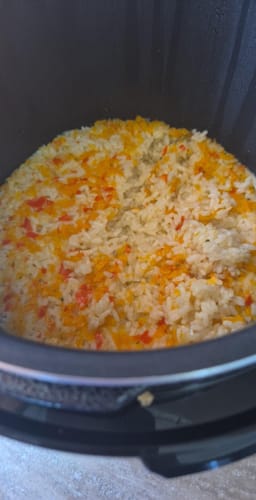 Customer photo review of Multicooker Novio EasyCook