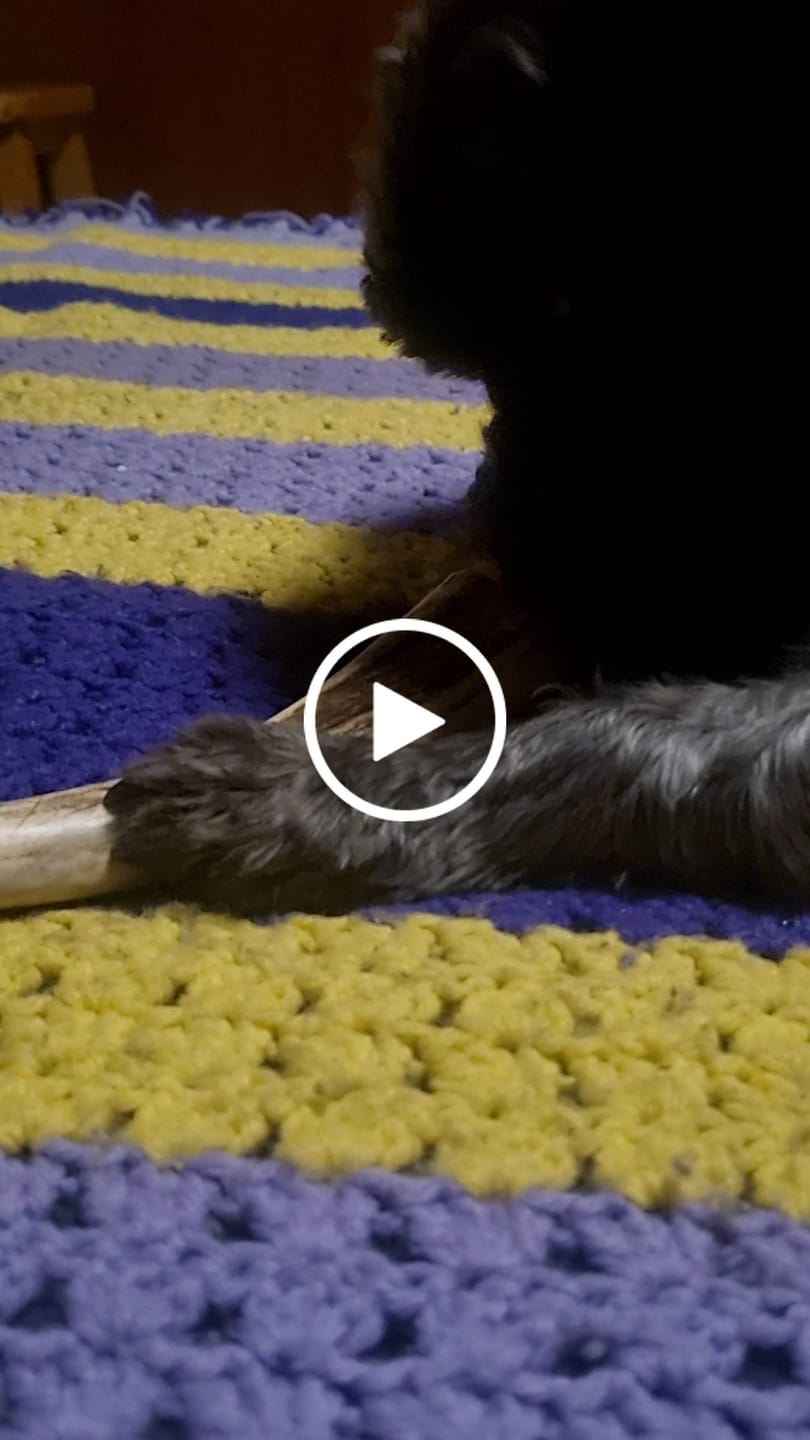 Customer video review of Patas de pollo