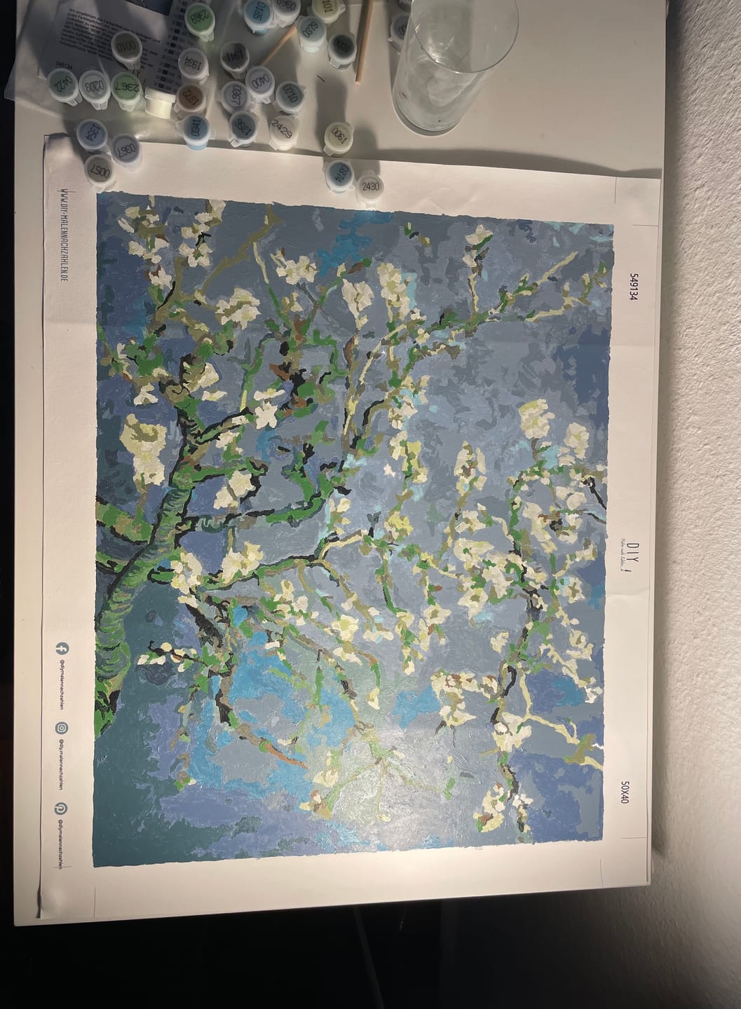 Customer photo review of Malen nach Zahlen - Mandelblüte - Vincent van Gogh
