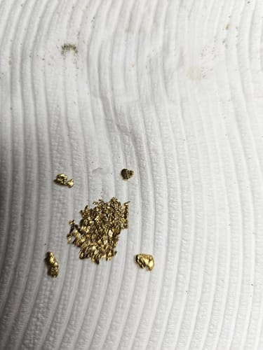 Customer photo review of *BOGO*: MAMMOTH 'TROY OUNCE NUGGET HUNT' Gold Paydirt - Gold Paydirt Concentrate