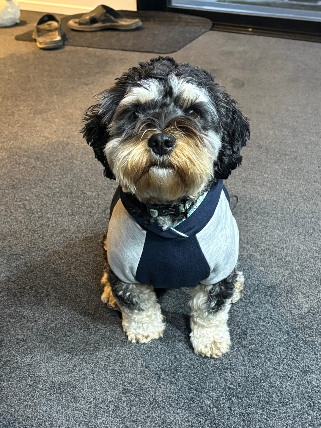 Customer photo review of Hoodie - Build a Hoodie