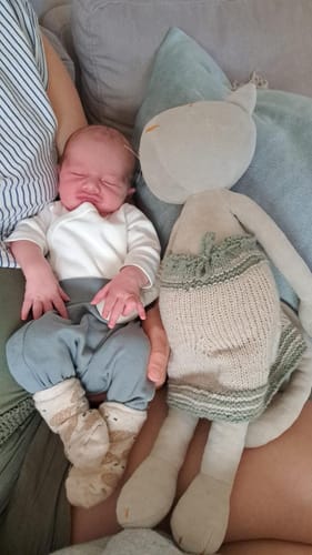 Customer photo review of GISEL, LA CHATTE - GRAND