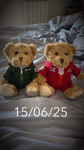 Customer photo review of Green Pilot 9in Bear in Suit