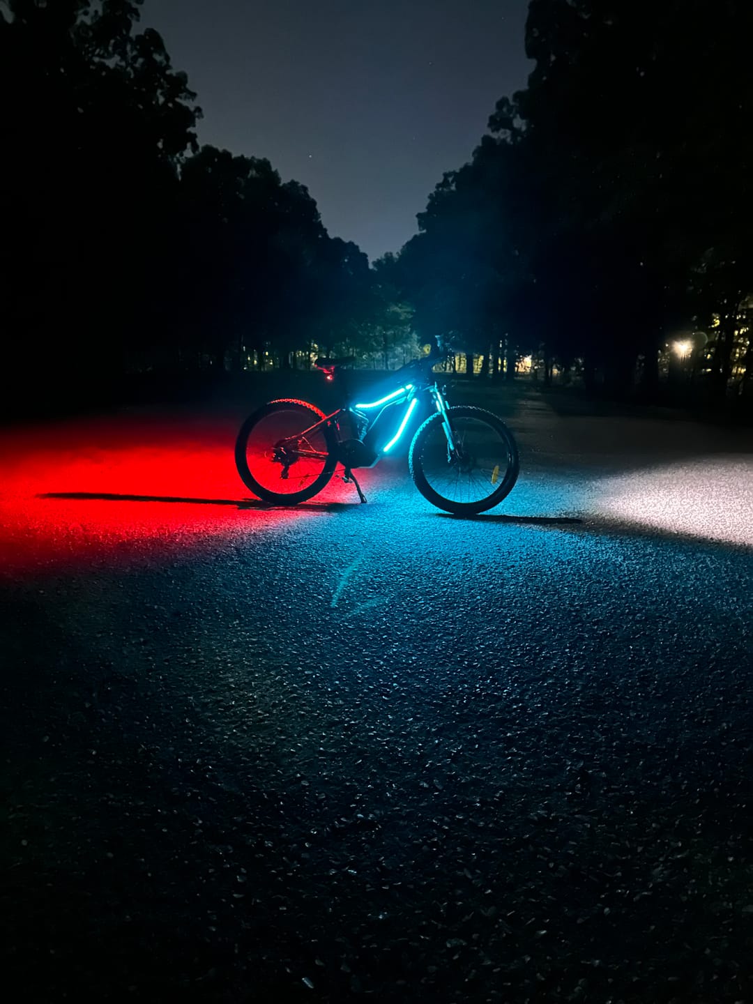Customer photo review of LED BIKE SYSTEM