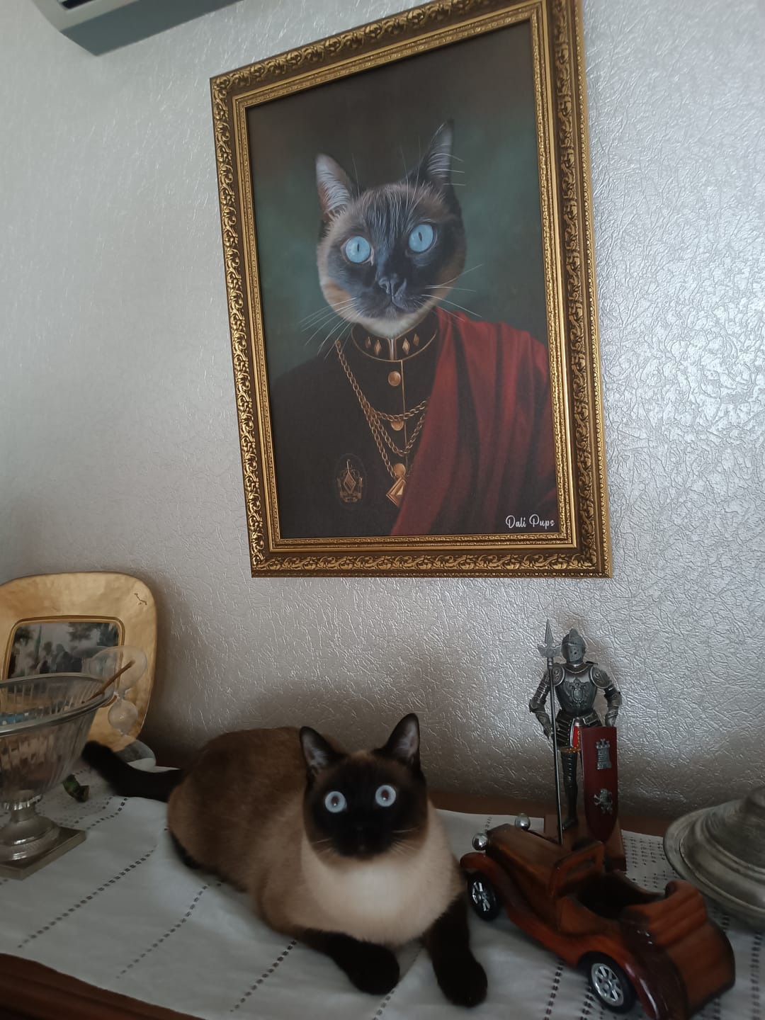 Customer photo review of The King of the Seven Kingdoms