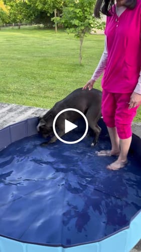 Customer video review of NEW Pop-Up Foldable Outdoor Dog Bath & Swimming Pool With Side Drain (Aqua Blue)