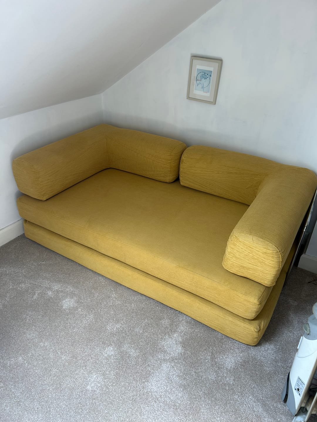 Customer photo review of VacuumLuxe Compression Sofa