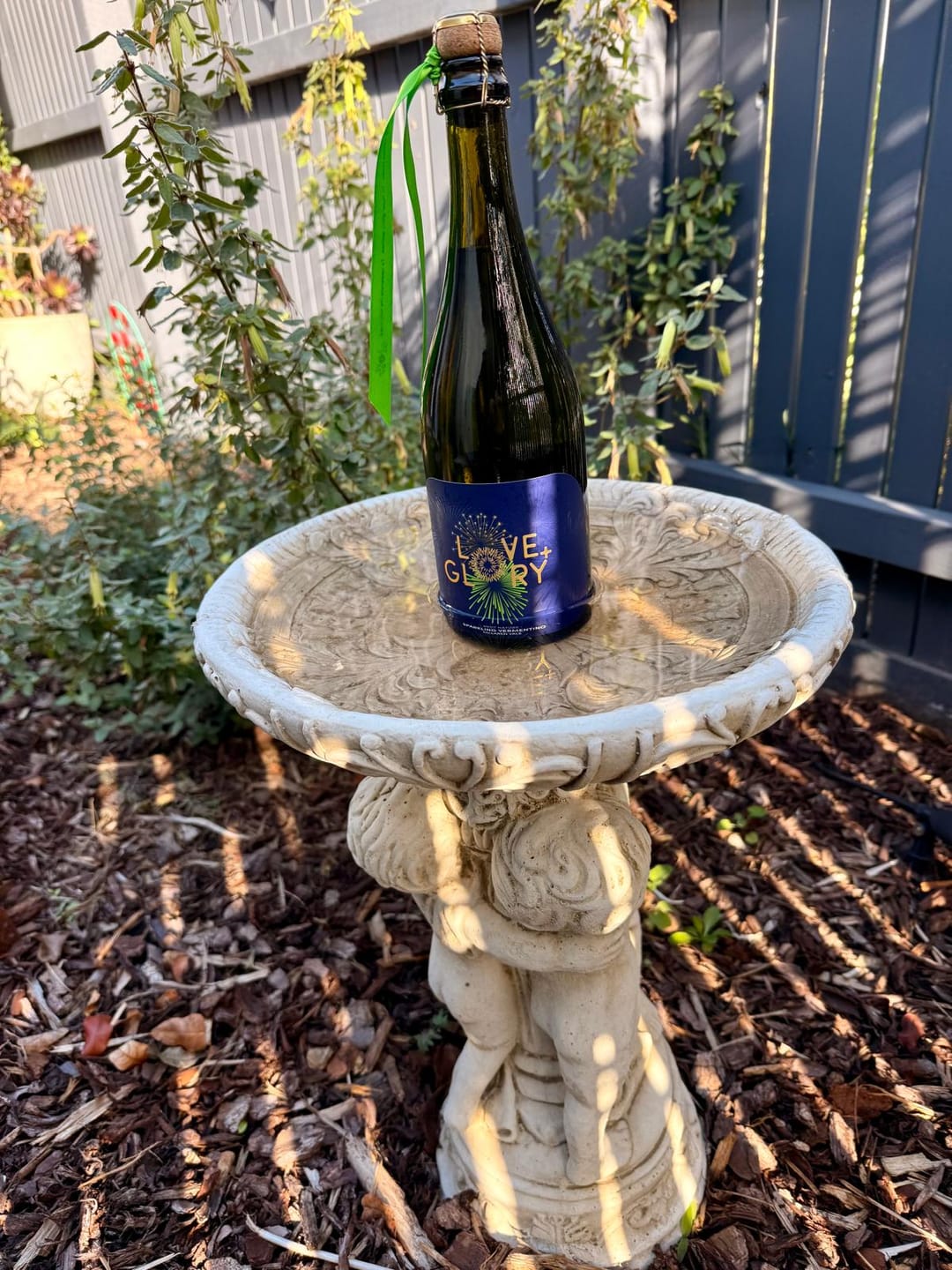 Customer photo review of 2024 Sparkling Vermentino