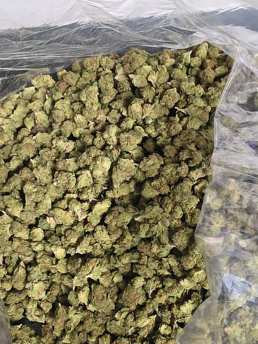 Customer photo review of OG Kush - Bulk Littles - Indica