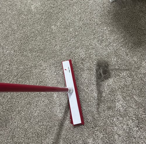 Customer photo review of IndigoPet Hair Removal Broom