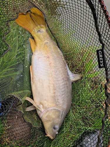 Customer photo review of ACCU POWER