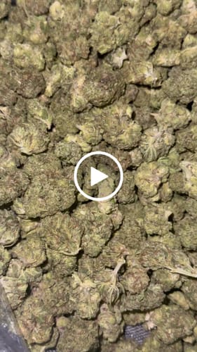Customer video review of Hashburger - Bulk Littles - Indica