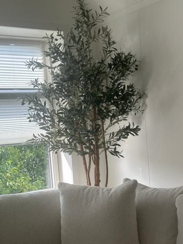 Customer photo review of Kunst Olijfboom 180cm